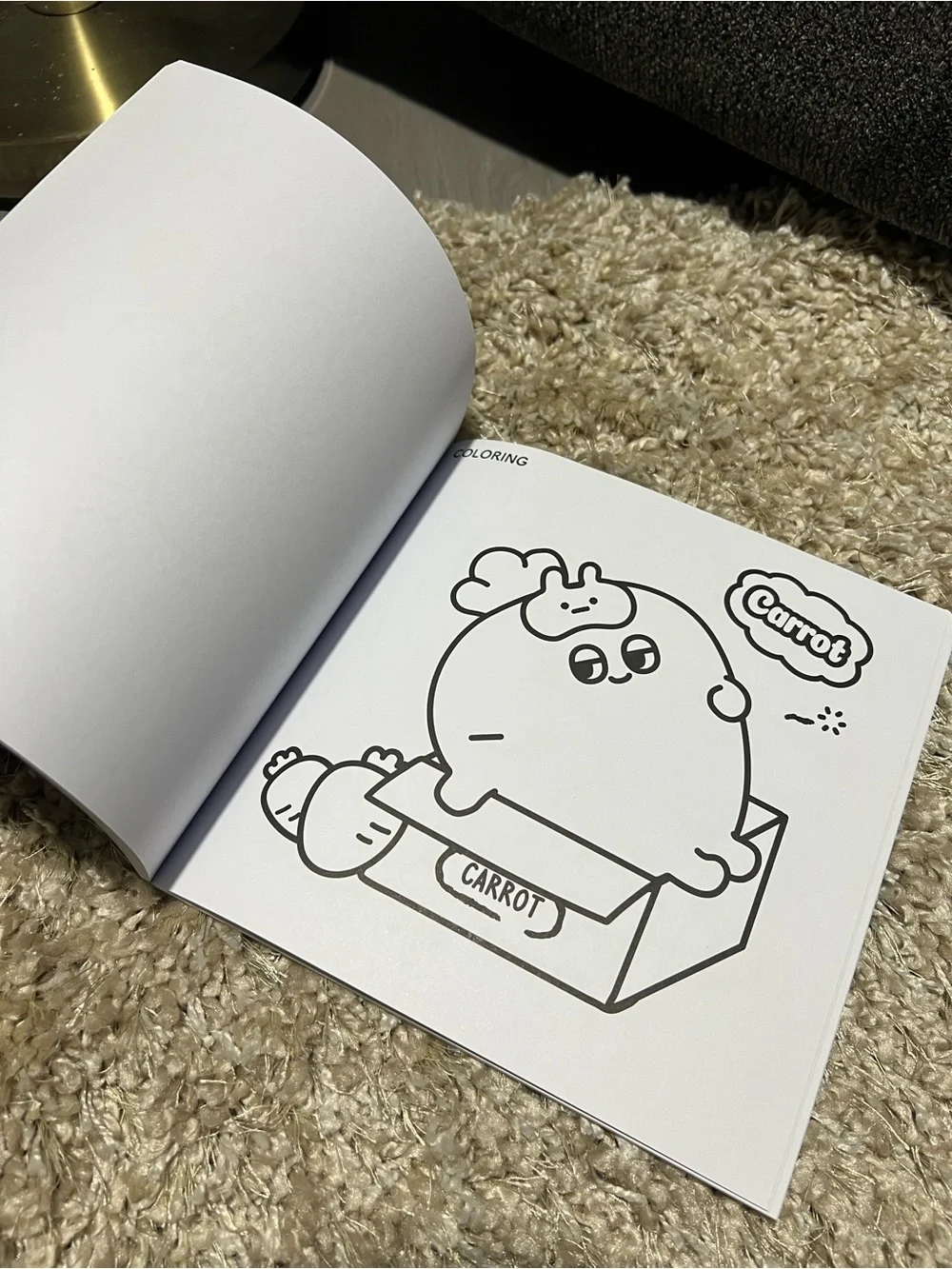 Easy Coloring Book - Fruits and Vegetables (Green)